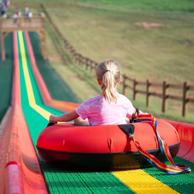 Feel the rush on our Super Megaslide! Zoom down this giant slide for a thrilling ride that’s sure to be a highlight of your day.